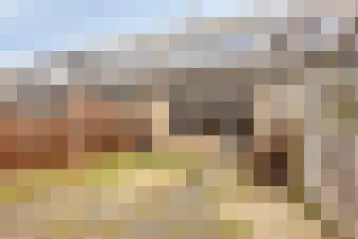 Leeuwerikhof 9 Lekkerkerk thumbnail 23