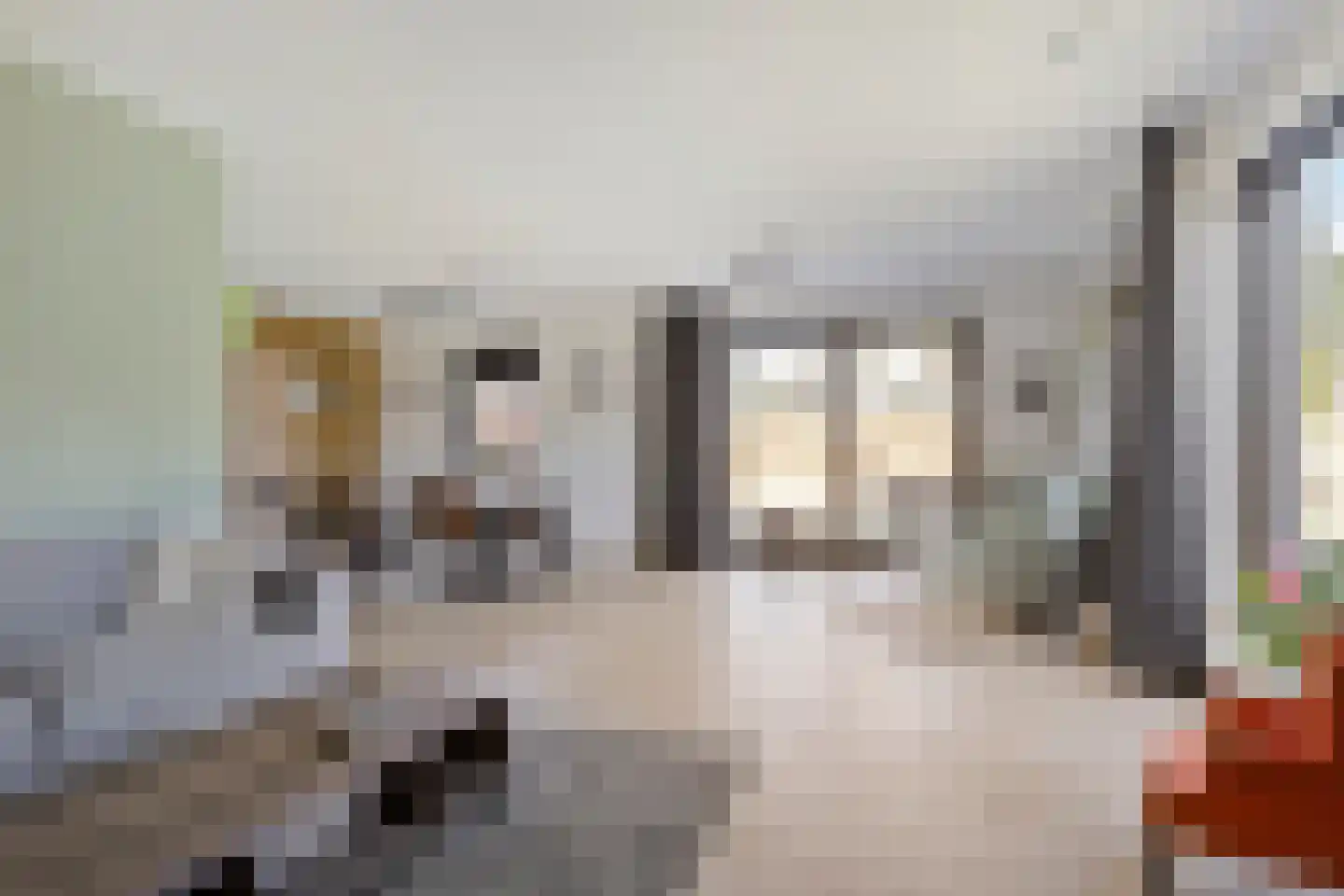 Leeuweriklaan 1 Dongen thumbnail 13