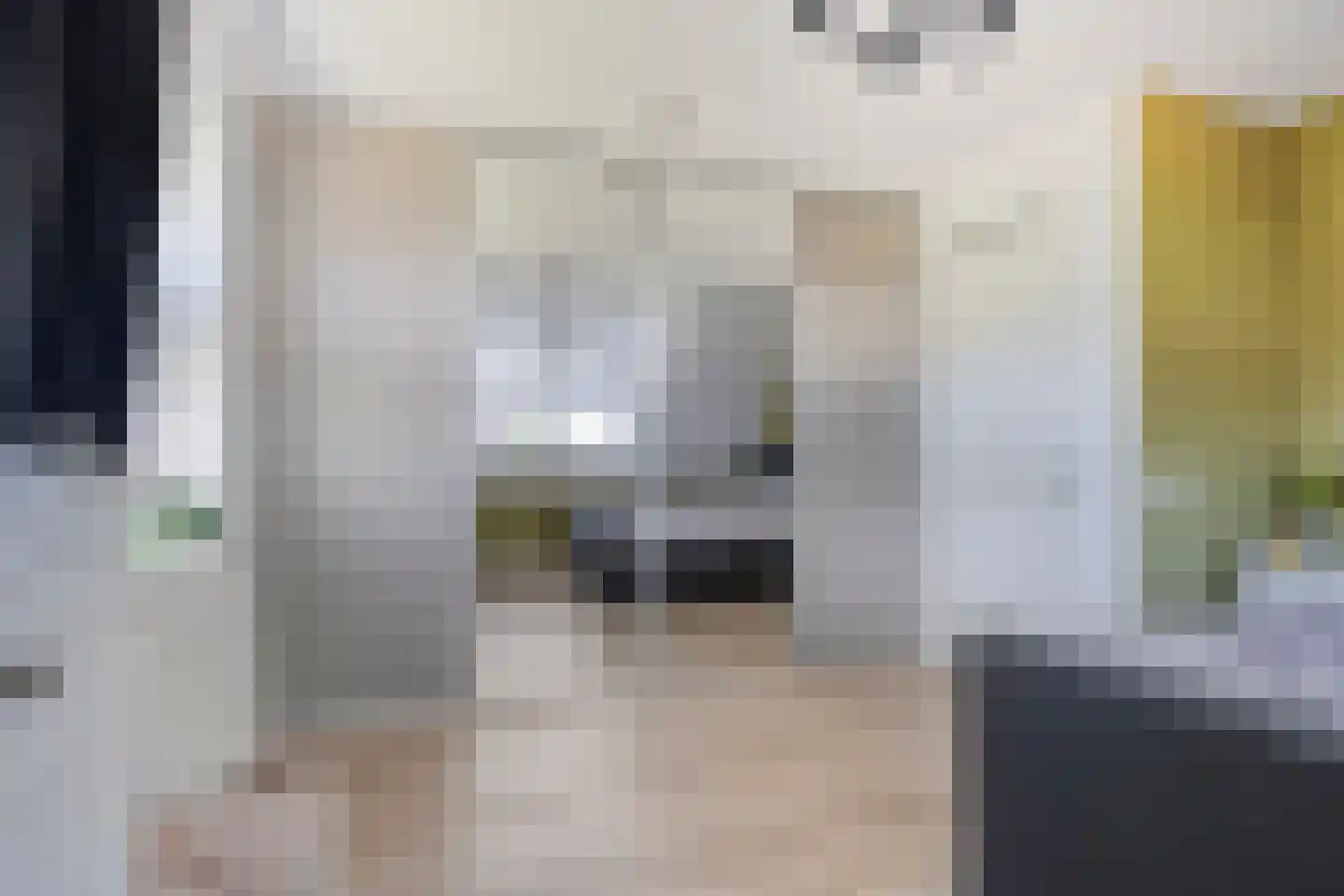 Leeuweriklaan 1 Dongen thumbnail 27