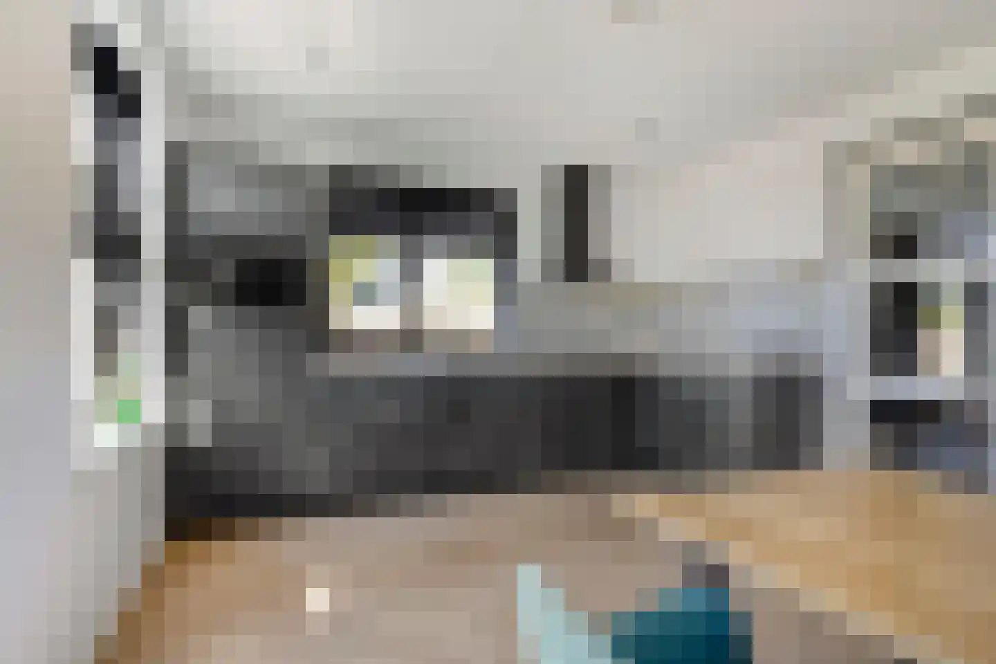 Leeuweriklaan 1 Dongen foto 3