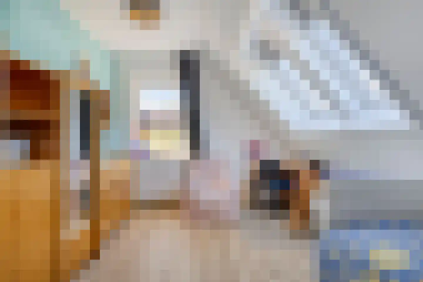 Leeuweriklaan 1 Dongen thumbnail 30