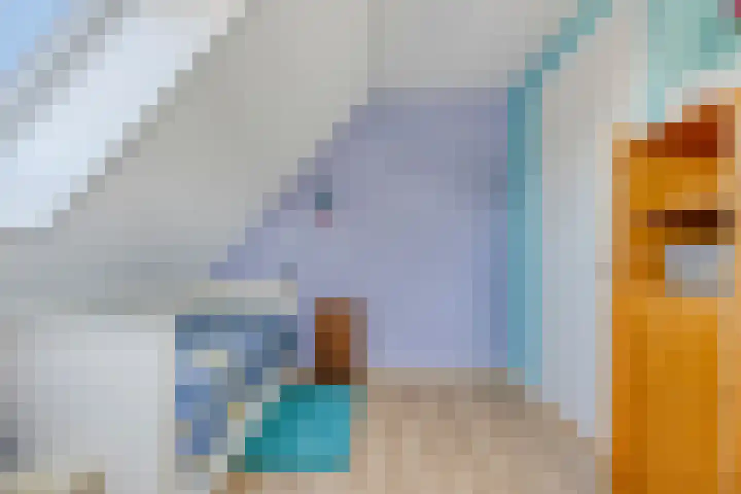 Leeuweriklaan 1 Dongen thumbnail 31