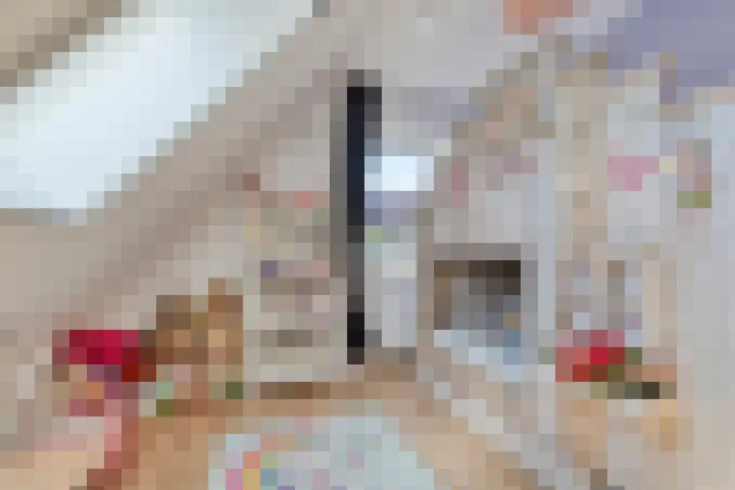 Leeuweriklaan 1 Dongen thumbnail 32