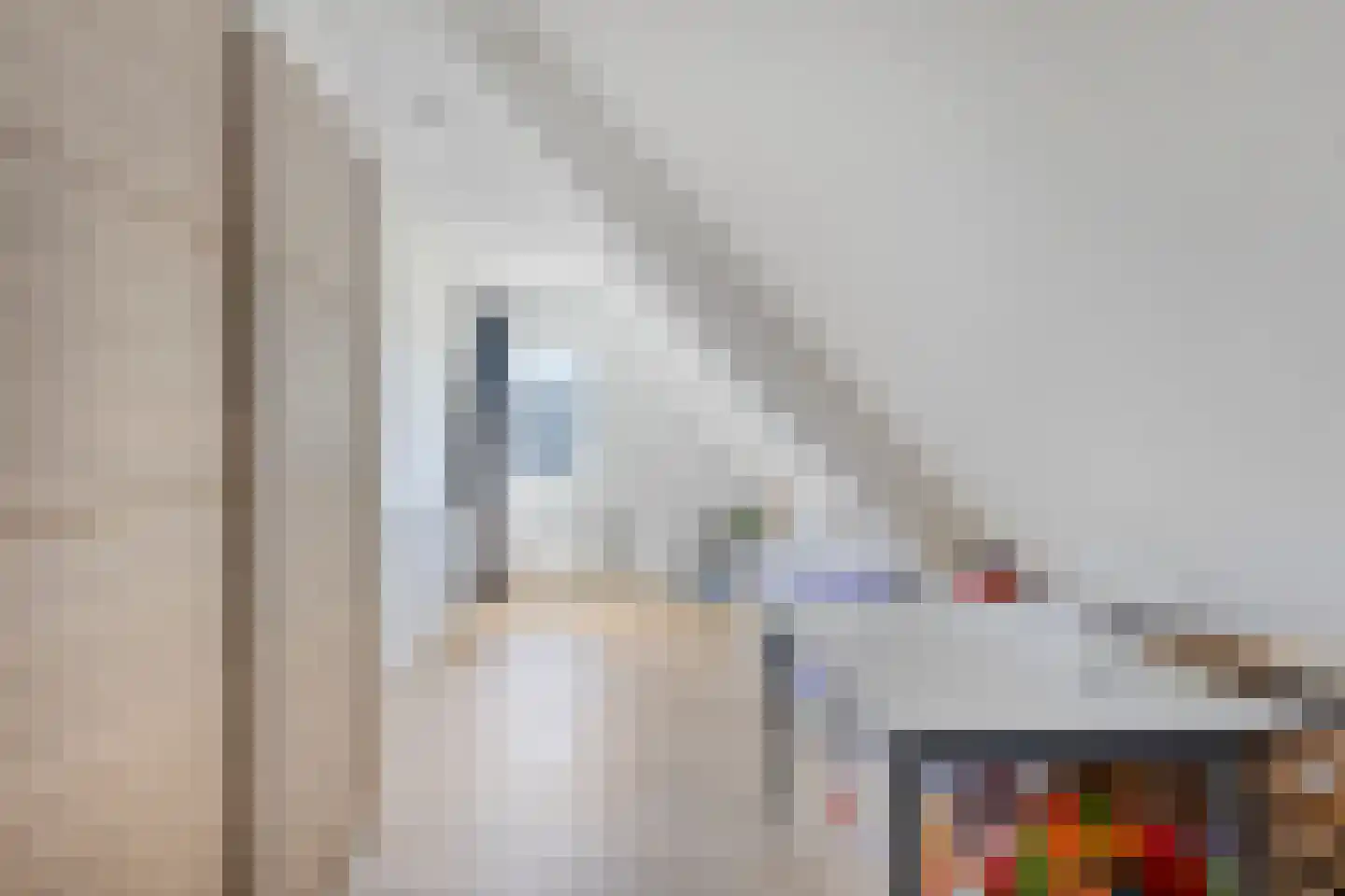 Leeuweriklaan 1 Dongen thumbnail 34
