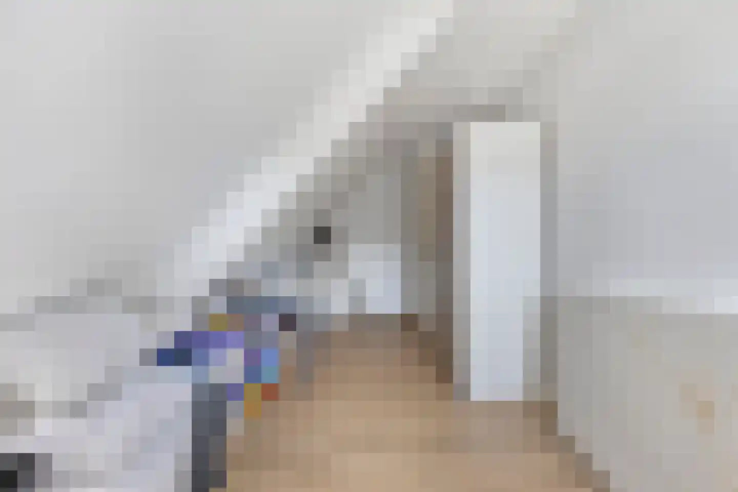 Leeuweriklaan 1 Dongen thumbnail 35