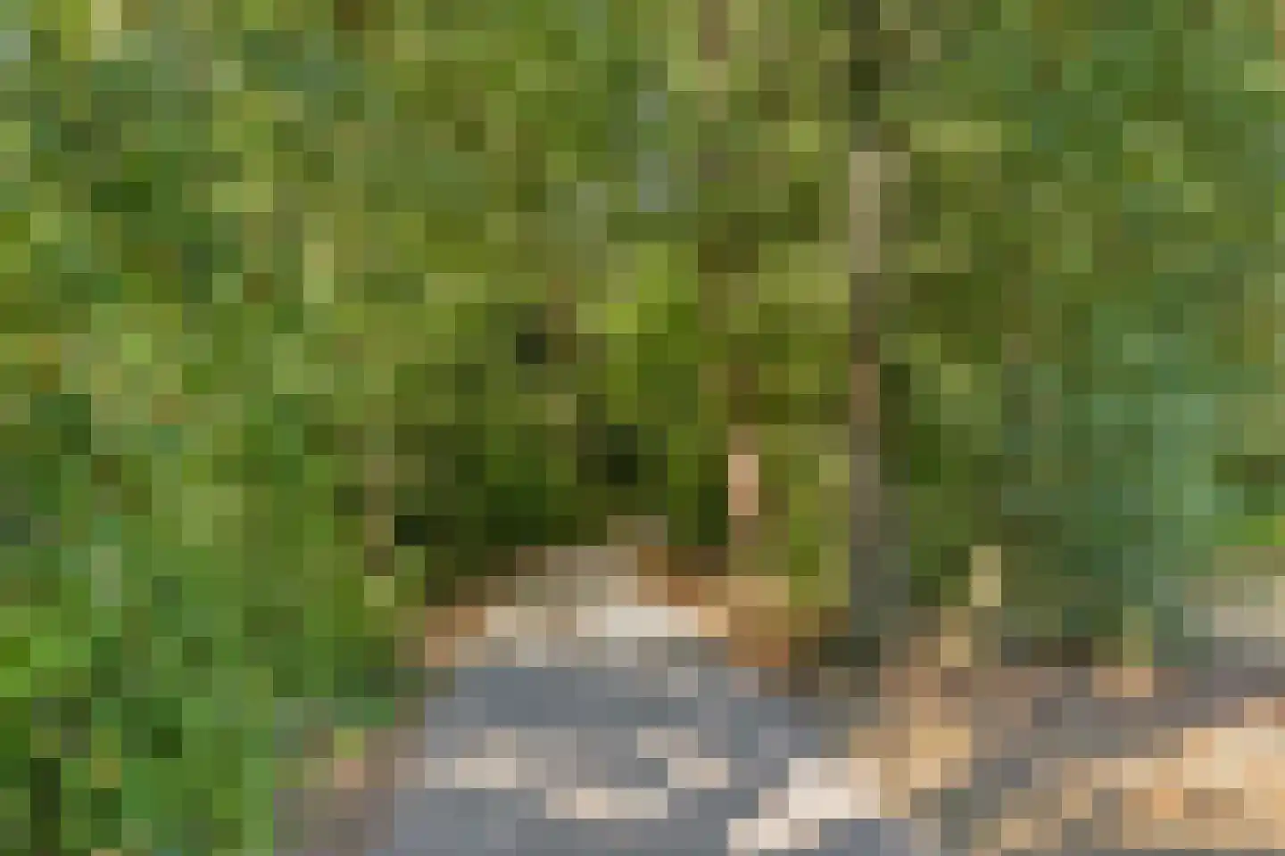Leeuweriklaan 1 Dongen thumbnail 47