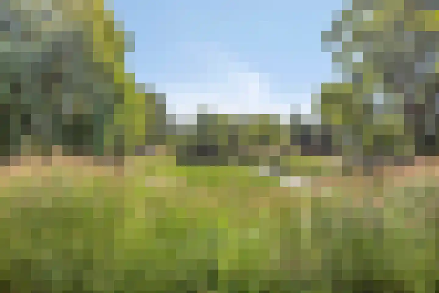 Leeuweriklaan 1 Dongen thumbnail 49