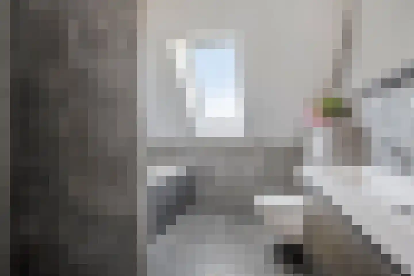 Leeuweriklaan 1 Dongen thumbnail 5