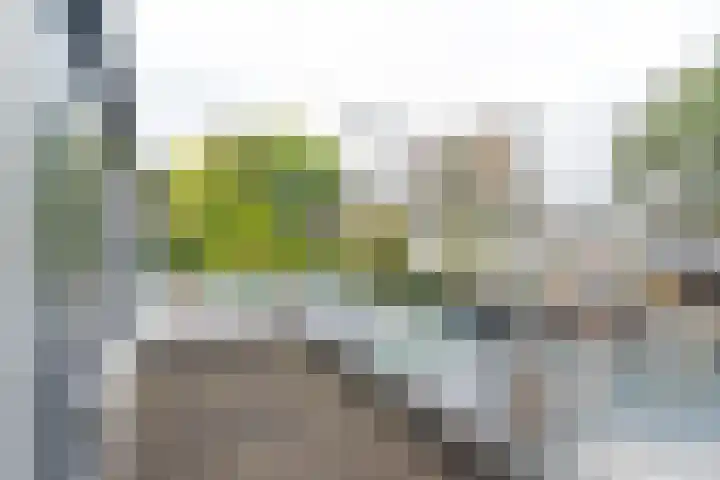 Leeuweriklaan 104 Hoogeveen thumbnail 28