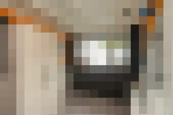 Leeuweriklaan 104 Hoogeveen thumbnail 39
