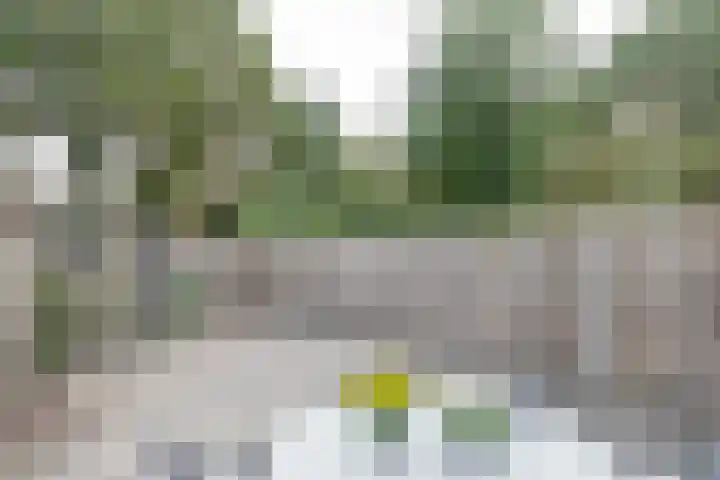 Leeuweriklaan 104 Hoogeveen thumbnail 44