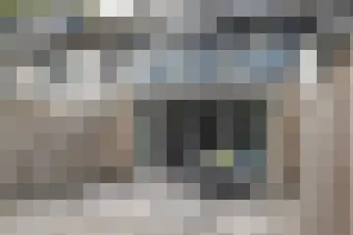 Leeuweriklaan 104 Hoogeveen thumbnail 48