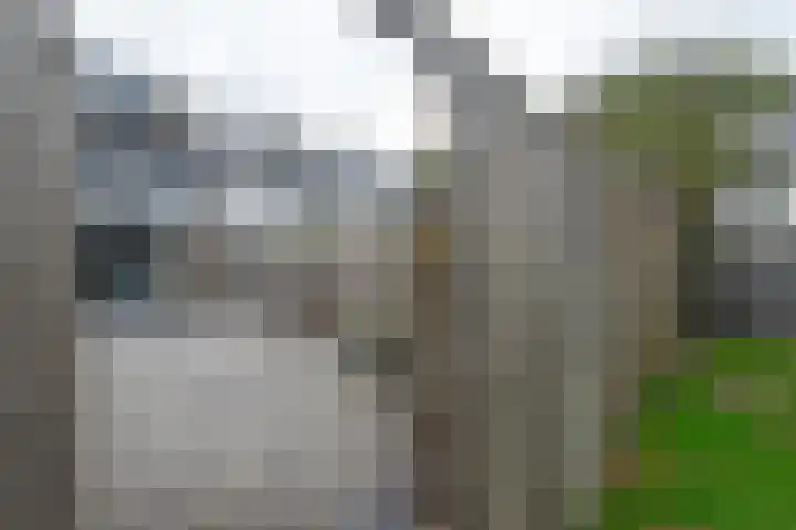 Leeuweriklaan 104 Hoogeveen thumbnail 50