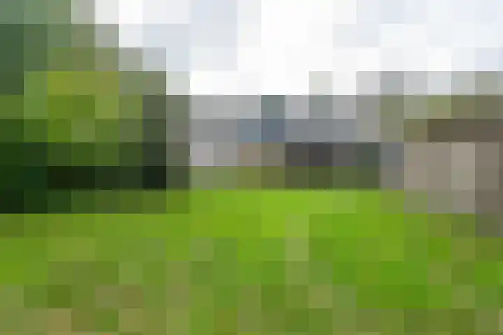 Leeuweriklaan 104 Hoogeveen thumbnail 51
