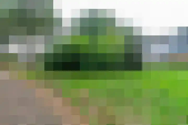 Leeuweriklaan 104 Hoogeveen thumbnail 52