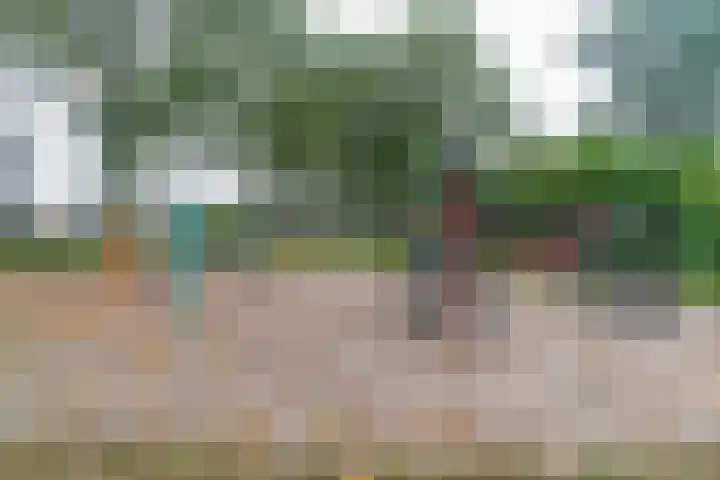 Leeuweriklaan 104 Hoogeveen thumbnail 53