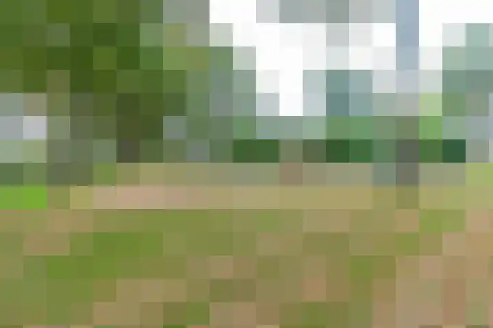 Leeuweriklaan 104 Hoogeveen thumbnail 54