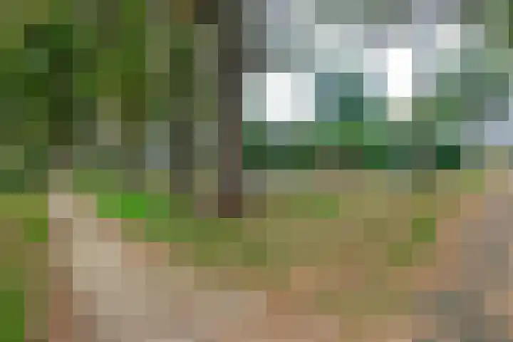 Leeuweriklaan 104 Hoogeveen thumbnail 55