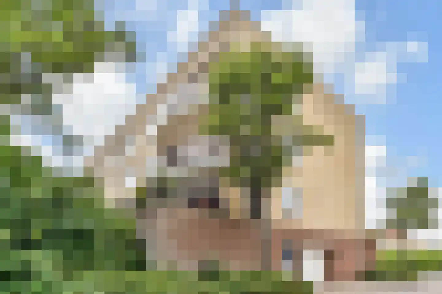 Leeuweriklaan 11 in 's-Gravenzande