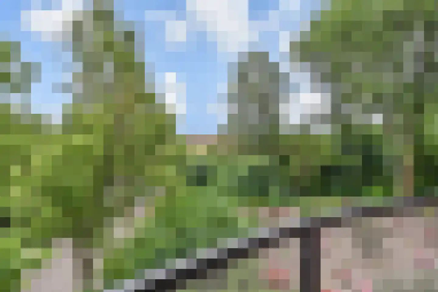 Leeuweriklaan 11 's-Gravenzande thumbnail 14