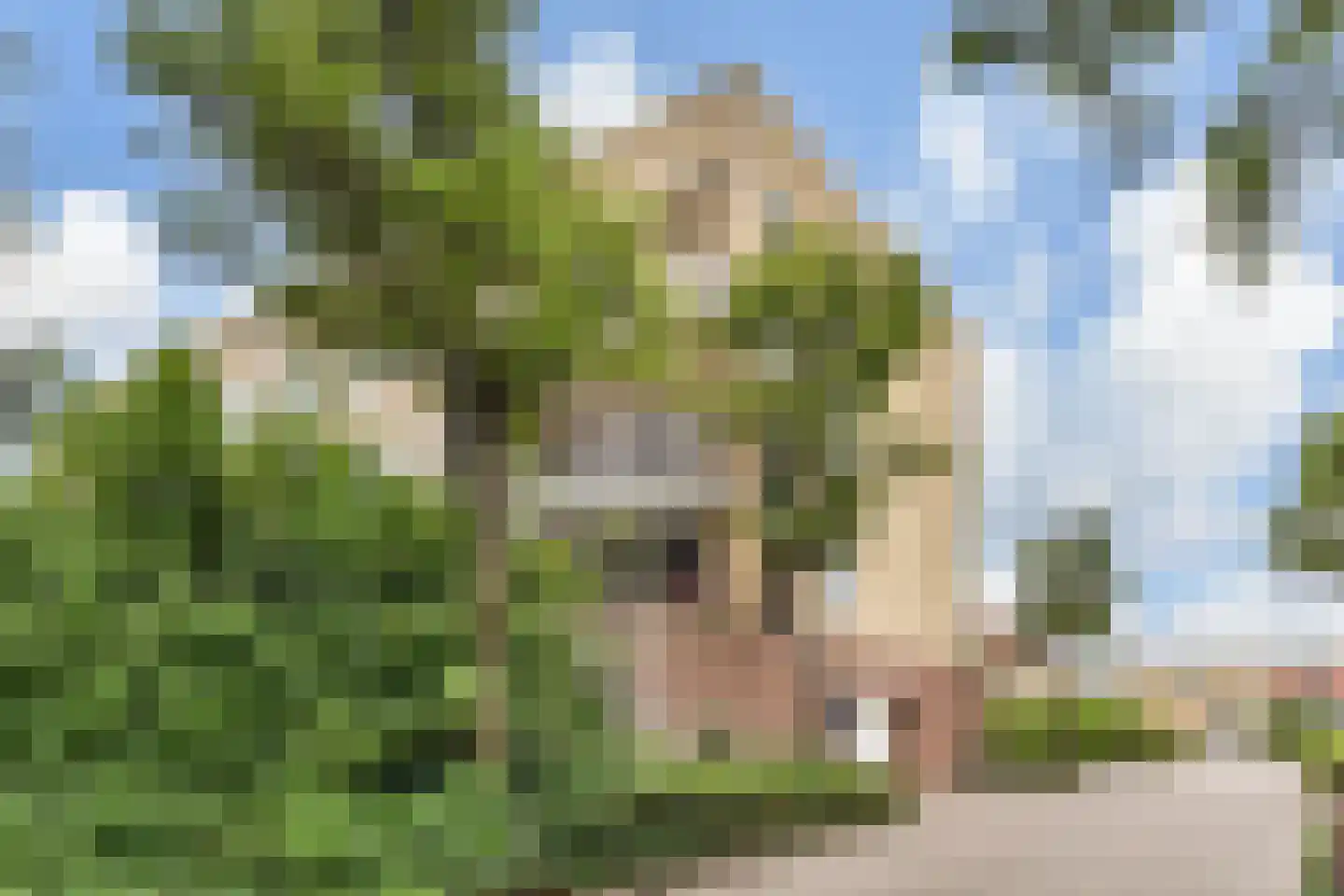 Leeuweriklaan 11 's-Gravenzande thumbnail 32