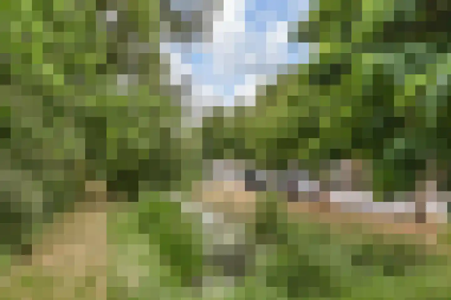 Leeuweriklaan 11 's-Gravenzande thumbnail 34