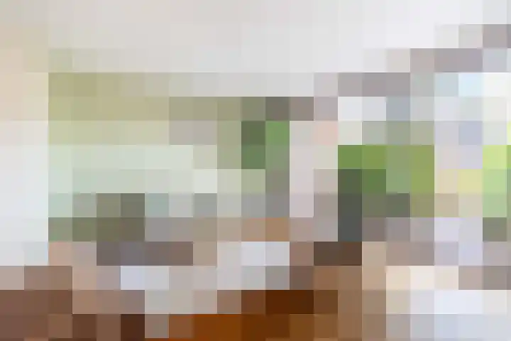 Leeuweriklaan 12 Delft thumbnail 17