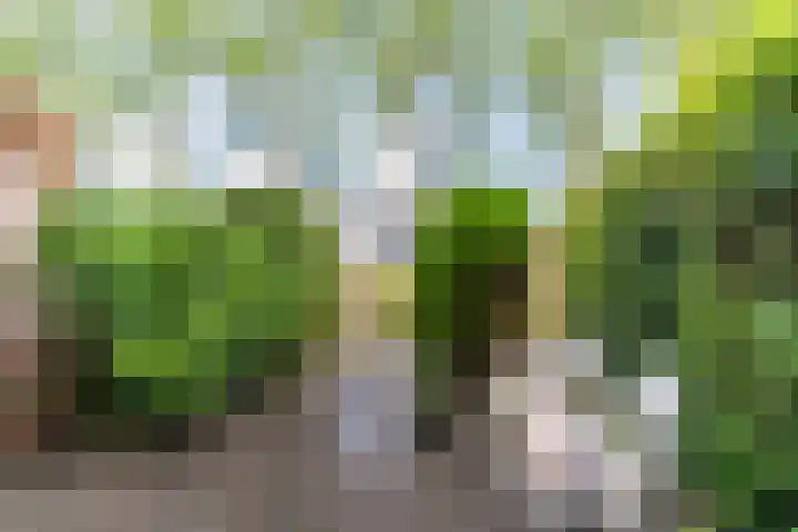 Leeuweriklaan 12 Delft thumbnail 18