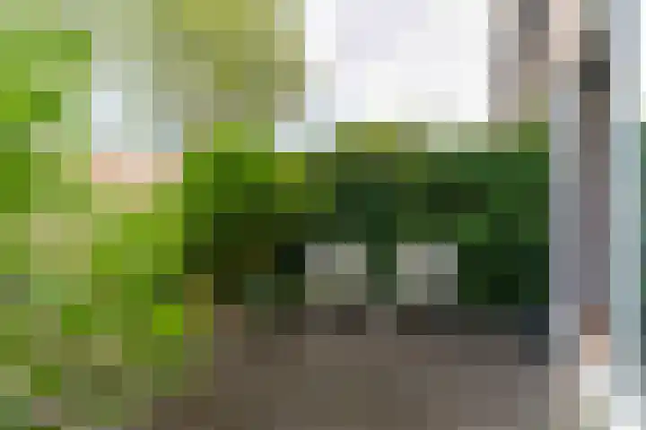Leeuweriklaan 12 Delft thumbnail 21