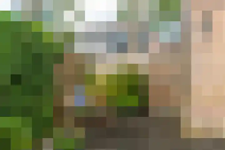 Leeuweriklaan 12 Delft thumbnail 23