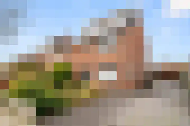 Leeuweriklaan 12 Ede thumbnail 42