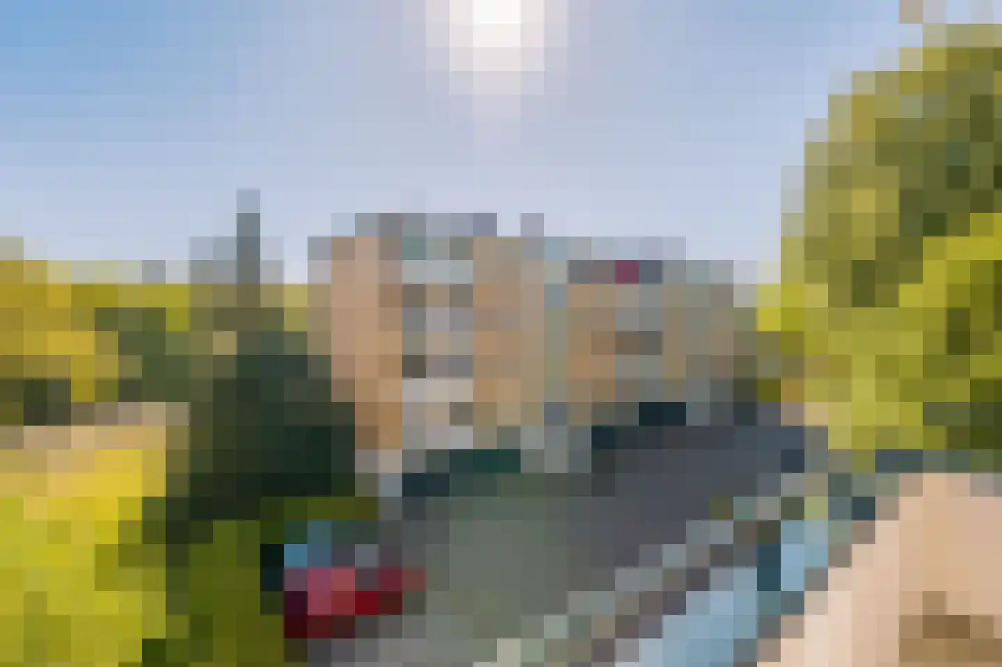 Leeuweriklaan 123 Bussum thumbnail 21