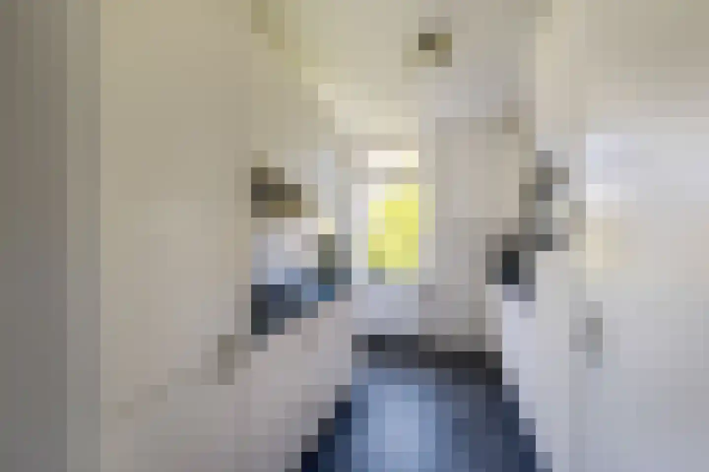 Leeuweriklaan 123 Bussum thumbnail 6