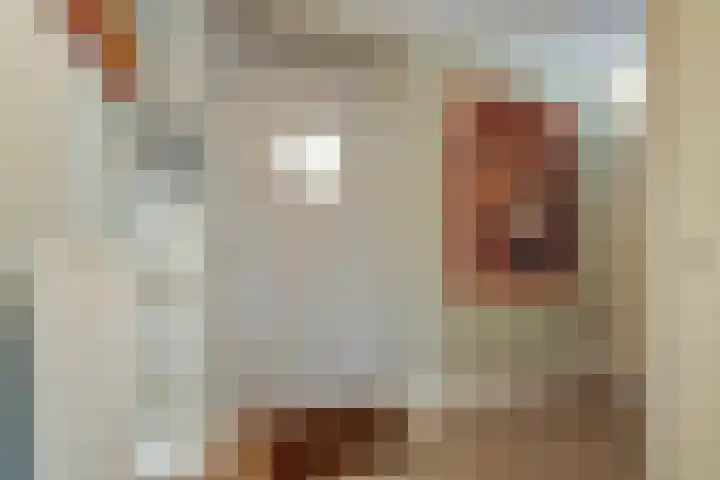 Leeuweriklaan 124 De Lier thumbnail 14