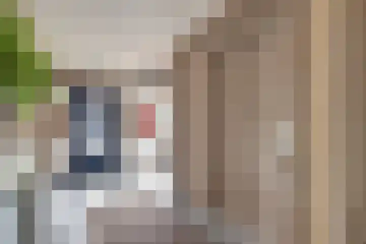 Leeuweriklaan 124 De Lier thumbnail 15