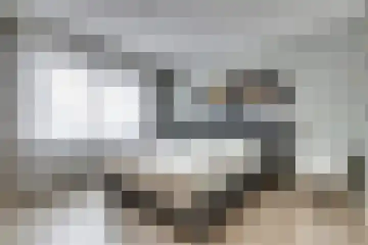 Leeuweriklaan 124 De Lier thumbnail 19