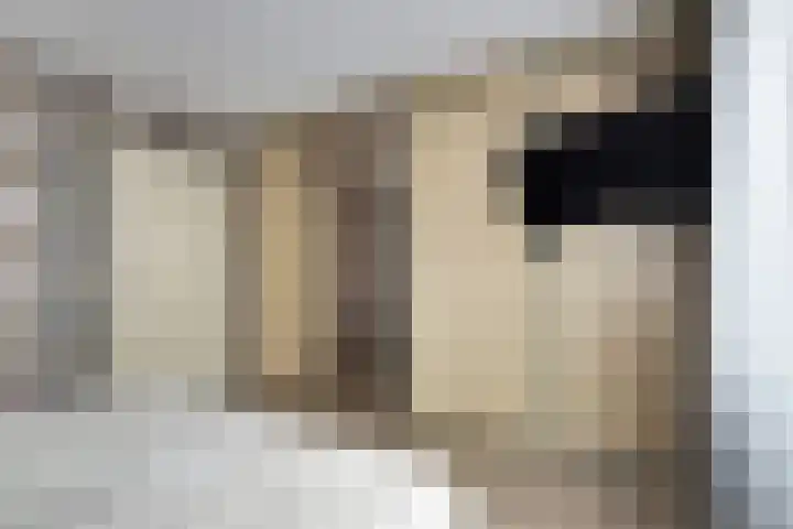 Leeuweriklaan 124 De Lier thumbnail 20