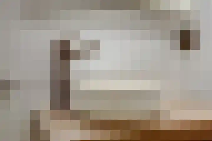 Leeuweriklaan 124 De Lier thumbnail 23