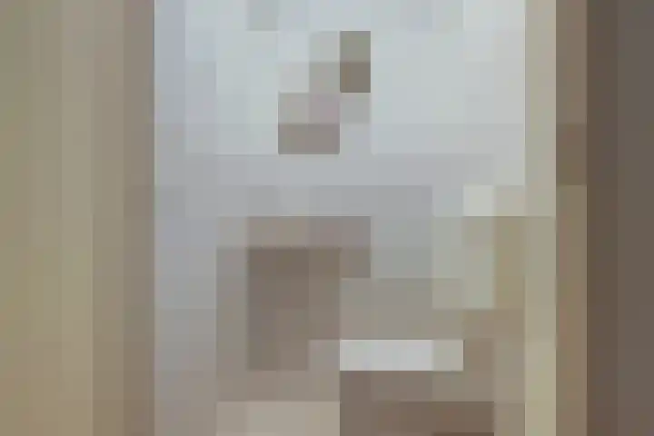 Leeuweriklaan 124 De Lier thumbnail 24
