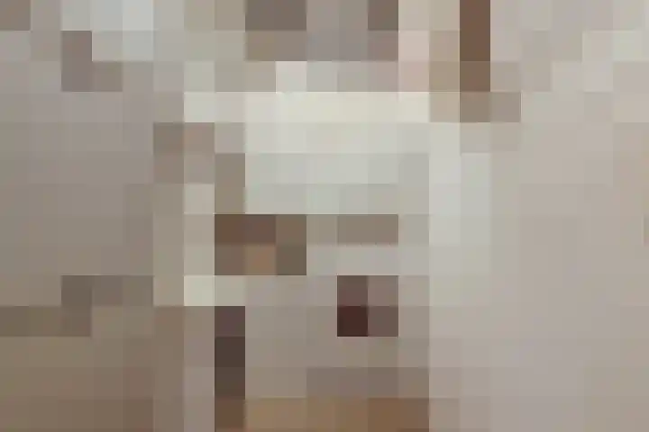 Leeuweriklaan 124 De Lier thumbnail 25