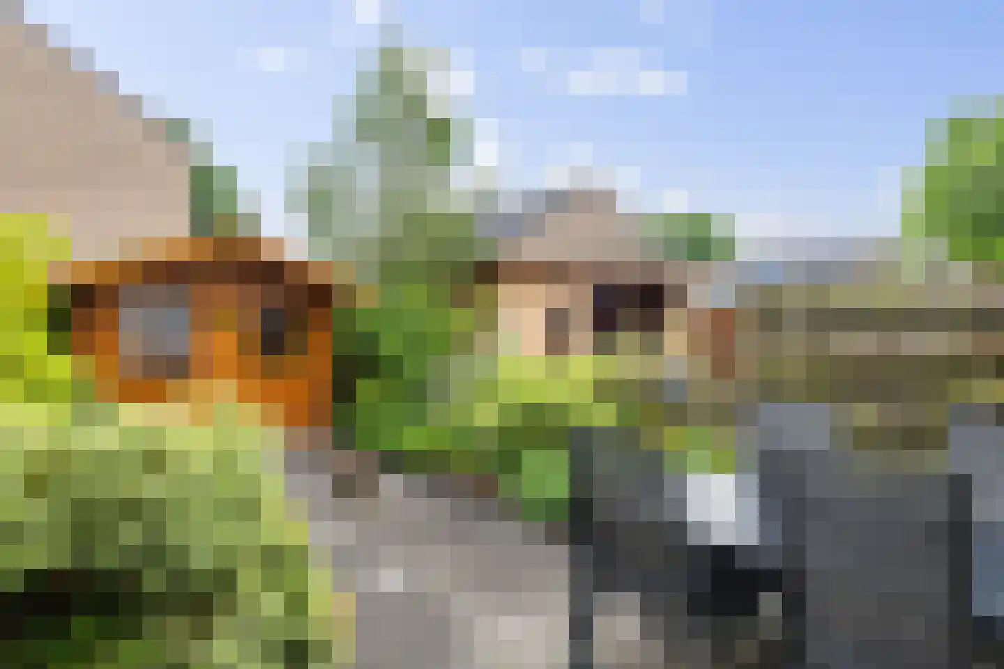 Leeuweriklaan 126 Hoogeveen thumbnail 26