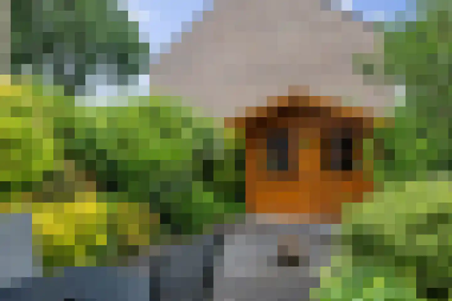 Leeuweriklaan 126 Hoogeveen thumbnail 30