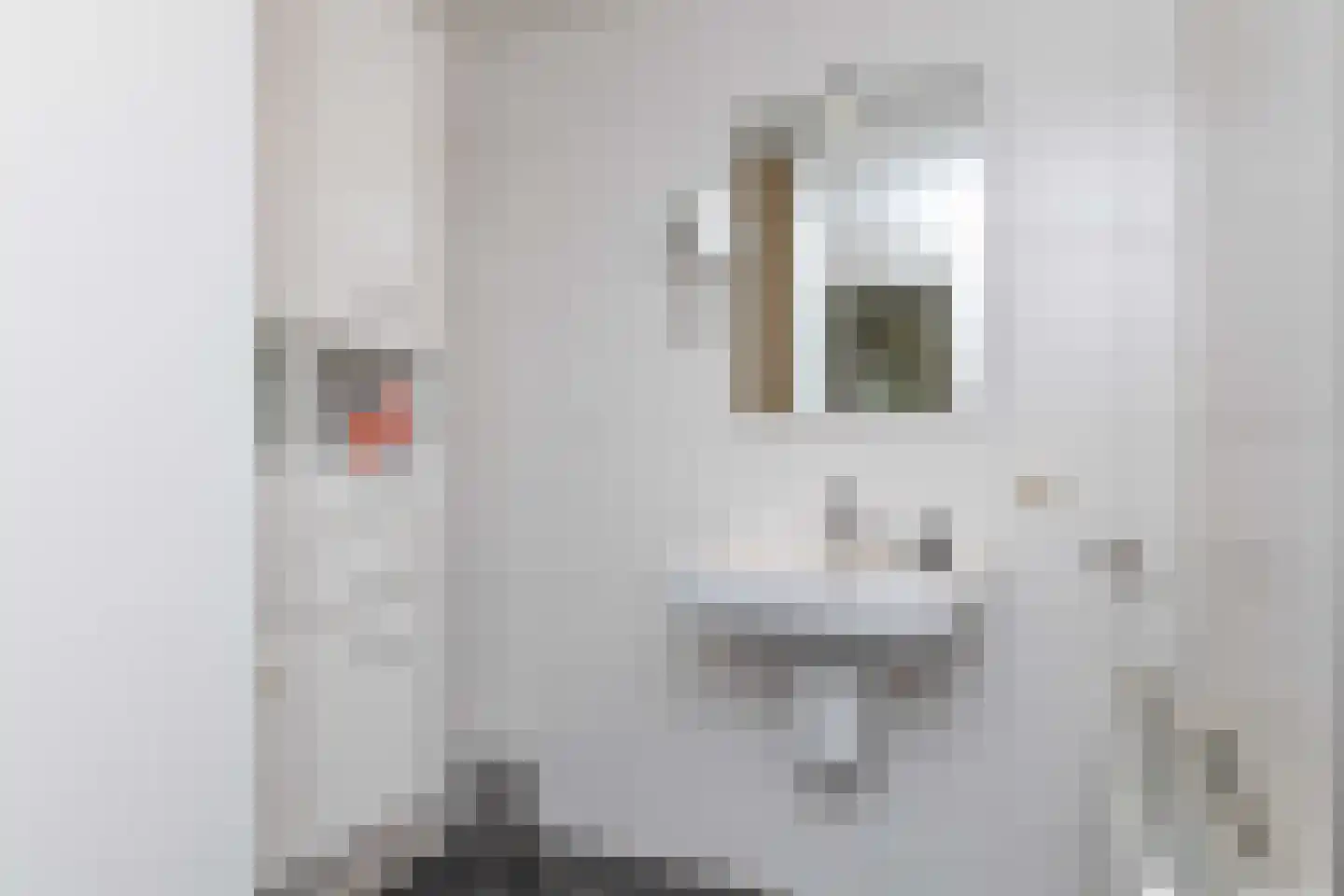 Leeuweriklaan 13 c Hoogeveen thumbnail 32