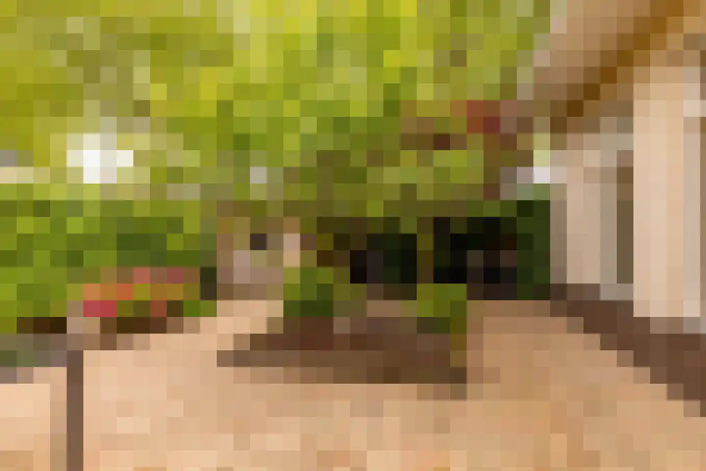 Leeuweriklaan 13 c Hoogeveen thumbnail 37