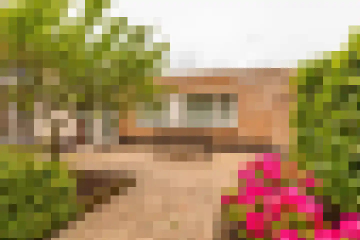 Leeuweriklaan 13 c Hoogeveen thumbnail 38