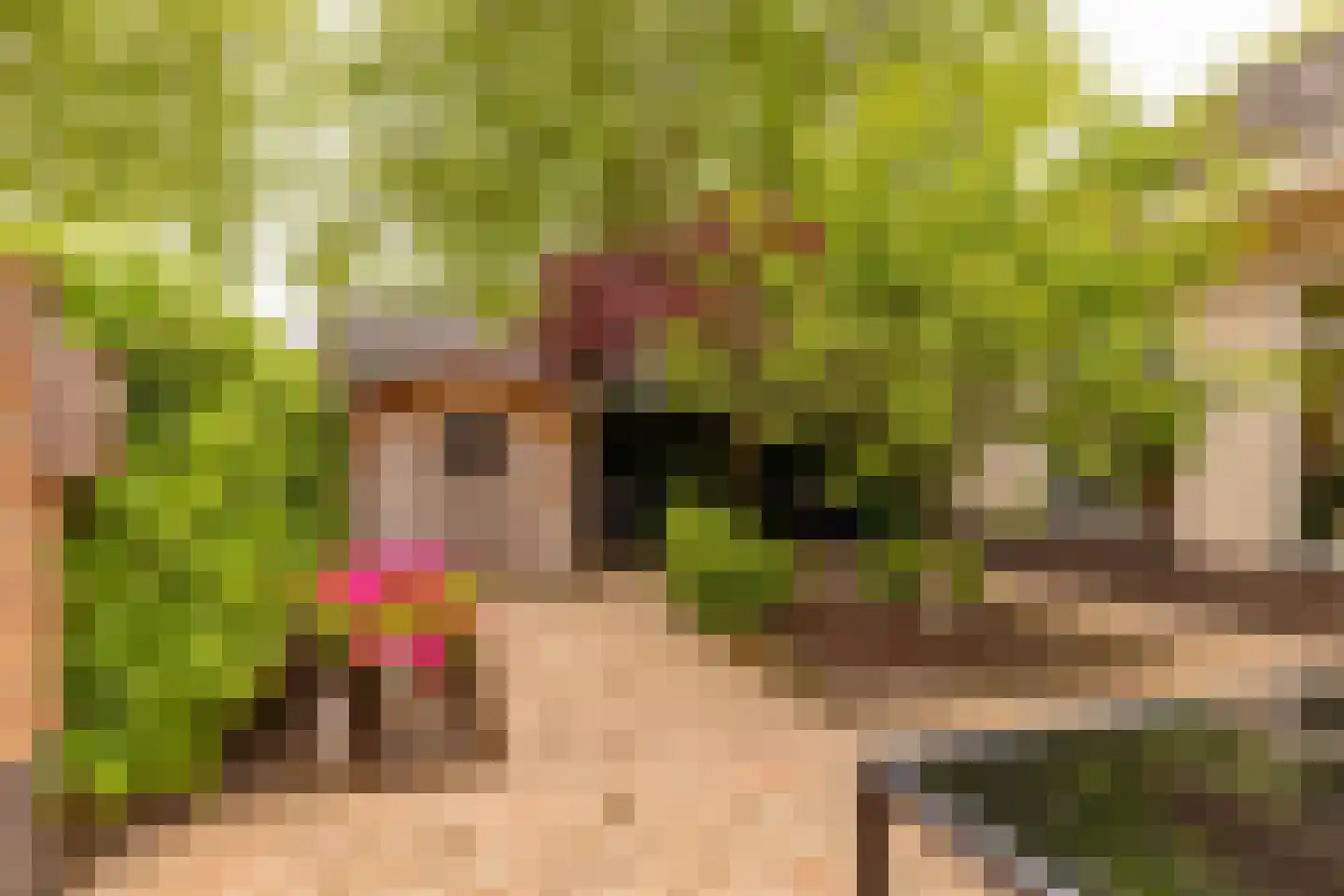 Leeuweriklaan 13 c Hoogeveen thumbnail 40