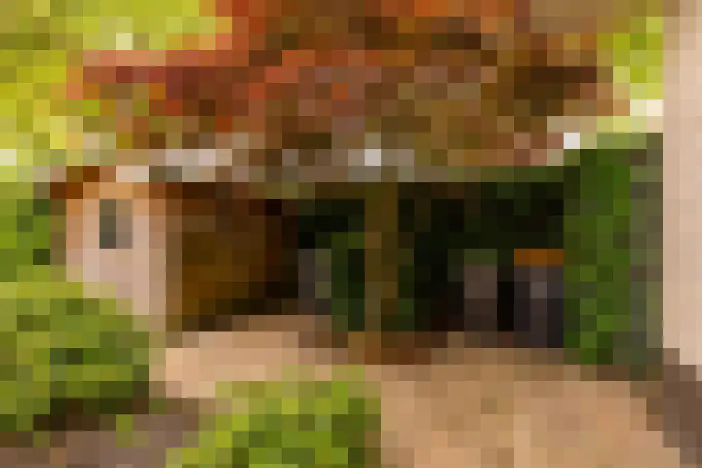 Leeuweriklaan 13 c Hoogeveen thumbnail 41