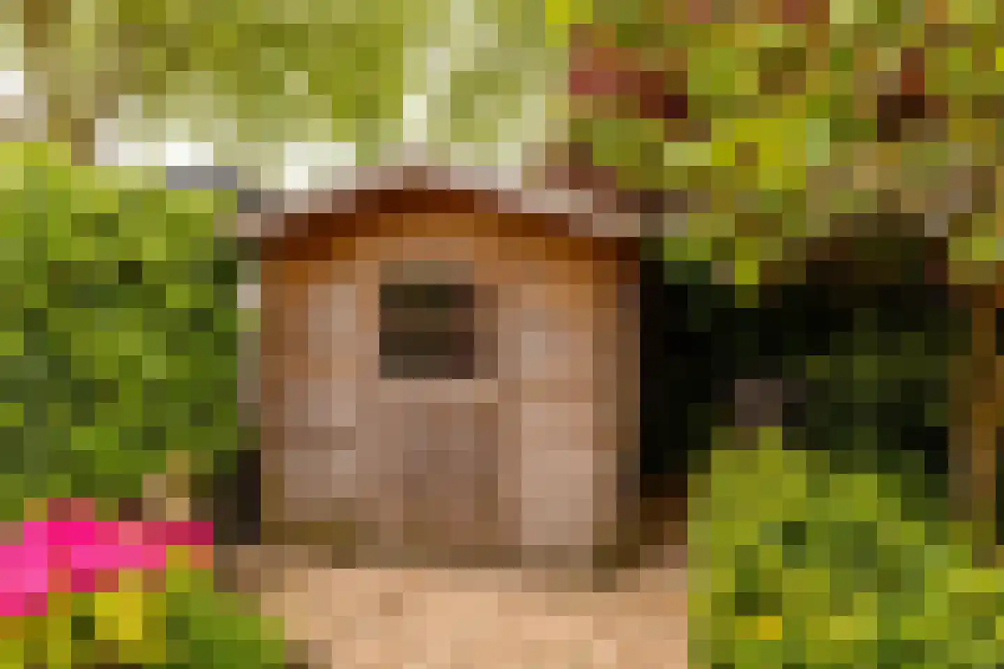 Leeuweriklaan 13 c Hoogeveen thumbnail 42
