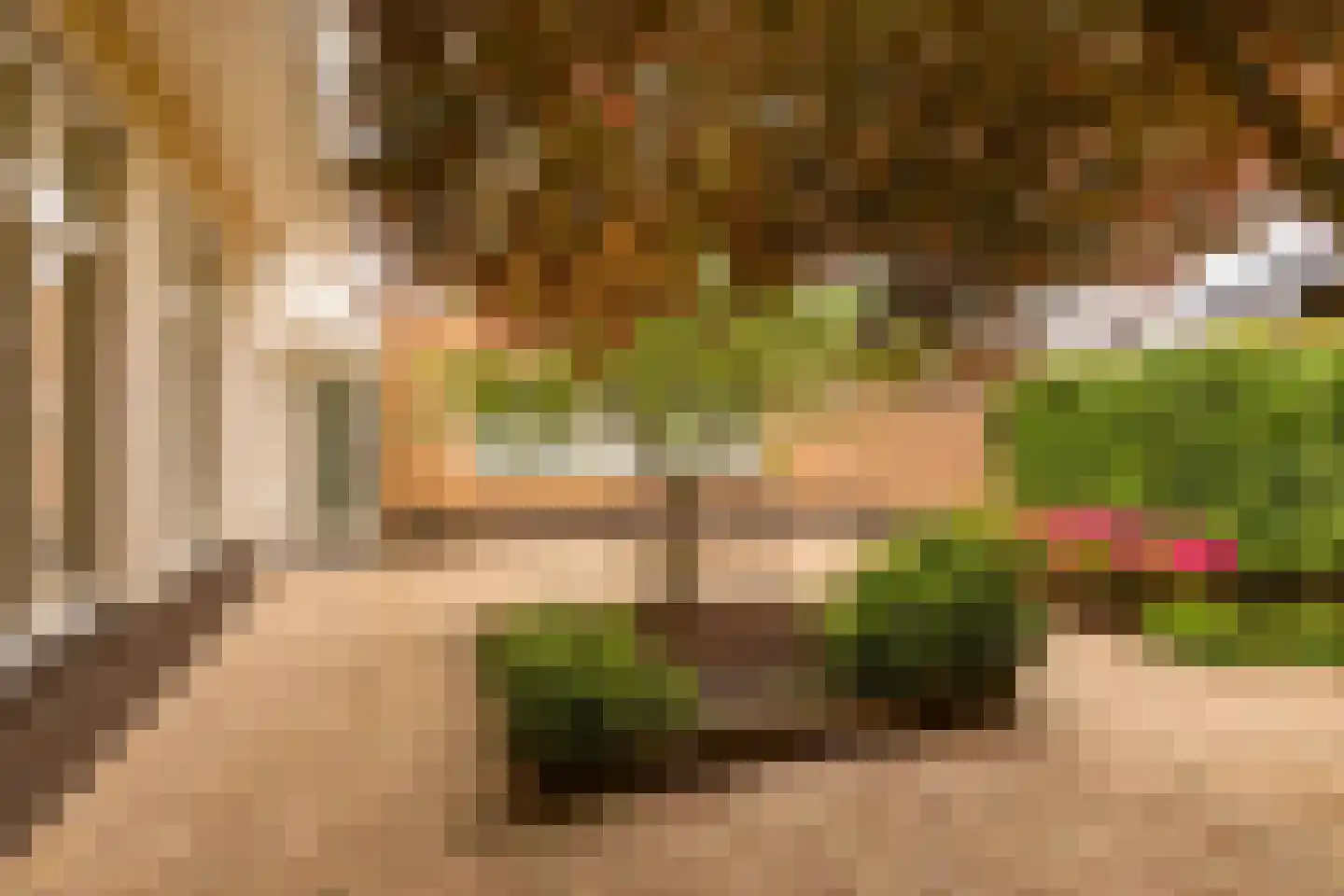 Leeuweriklaan 13 c Hoogeveen thumbnail 43