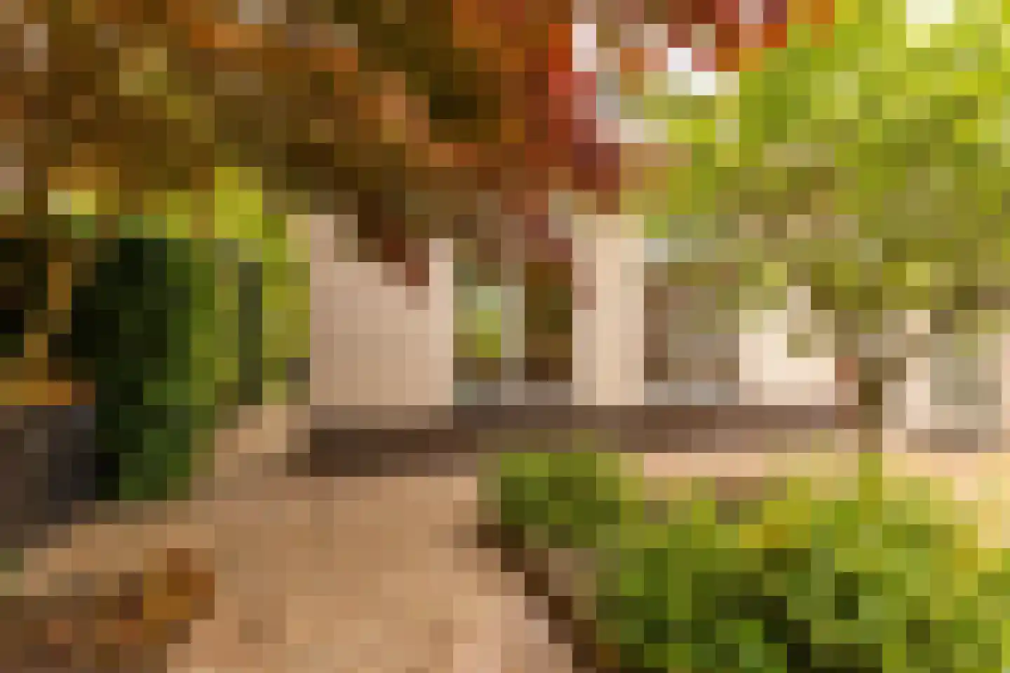 Leeuweriklaan 13 c Hoogeveen thumbnail 44